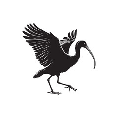 Ibis  Bird Silhouette: Vector Art Celebrating the Grace and Beauty of this Elegant Bird- Ibis Bird Vector - Ibis Bird Illustration.