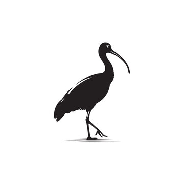 recommend clip art: Ibis  Bird Silhouette: Vector Art Celebrating the Grace and Beauty of this Elegant Bird- Ibis Bird Vector - Ibis Bird Illustration.