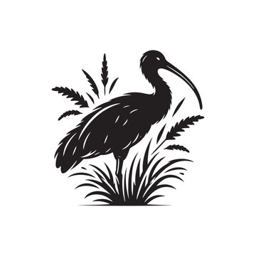 recommend clip art: Ibis  Bird Silhouette: Vector Art Celebrating the Grace and Beauty of this Elegant Bird- Ibis Bird Vector - Ibis Bird Illustration.