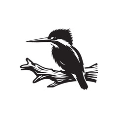 Fototapeta premium Kingfisher Silhouette Vector: Perfect for Nature-inspired Designs and Wildlife Enthusiasts - Kingfisher Illustration - Bird silhouette.