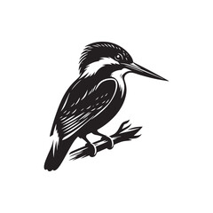 Fototapeta premium Kingfisher Silhouette Vector: Perfect for Nature-inspired Designs and Wildlife Enthusiasts - Kingfisher Illustration - Bird silhouette.
