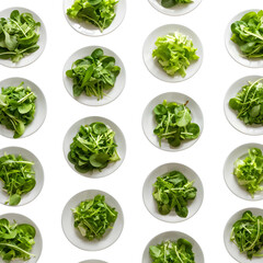 Obraz premium Green salad for natural food