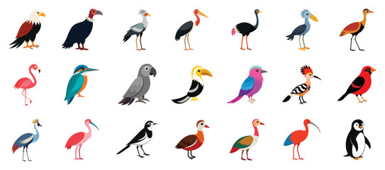 Collection of african birds icons, vector cartoon illustration. Features flamingo, grey parrot, kingfisher, penguin, ibis, ostrich, secretary bird.