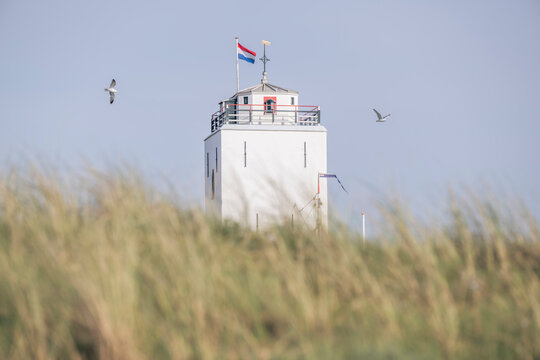 Netherlands, South Holland, Katwijk aan Zee, Seagulls flying over lighthouse with grassy dune in foreground