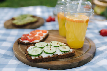 Close-up of Vegan picnic outdoors on blue checkered table cloth. Vegan sandwich with fresh salad and orange juice