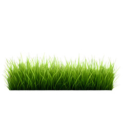 Obraz premium green grass