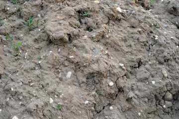 Landslide. We see clay, clay and many small pebbles. Even a few plants.