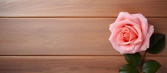 A rose flower is beautifully displayed on a wooden background with a frame surrounding it creating a serene and captivating copy space image