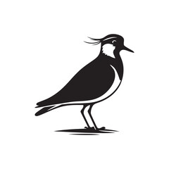 Bold Lapwing Bird Silhouette: Vector Graphics Adding a Touch of Natural Splendor to Your Designs- Lapwing Bird Illustration - Lapwing Bird Vector.