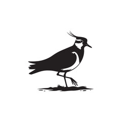 Obraz premium Bold Lapwing Bird Silhouette: Vector Graphics Adding a Touch of Natural Splendor to Your Designs- Lapwing Bird Illustration - Lapwing Bird Vector.