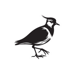 Bold Lapwing Bird Silhouette: Vector Graphics Adding a Touch of Natural Splendor to Your Designs- Lapwing Bird Illustration - Lapwing Bird Vector.