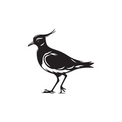Bold Lapwing Bird Silhouette: Vector Graphics Adding a Touch of Natural Splendor to Your Designs- Lapwing Bird Illustration - Lapwing Bird Vector.