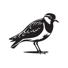Obraz premium Bold Lapwing Bird Silhouette: Vector Graphics Adding a Touch of Natural Splendor to Your Designs- Lapwing Bird Illustration - Lapwing Bird Vector.