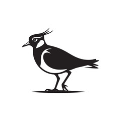 Bold Lapwing Bird Silhouette: Vector Graphics Adding a Touch of Natural Splendor to Your Designs- Lapwing Bird Illustration - Lapwing Bird Vector.