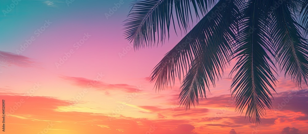Poster a tropical palm tree silhouette is framed against a vibrant sunset sky creating an abstract backgrou