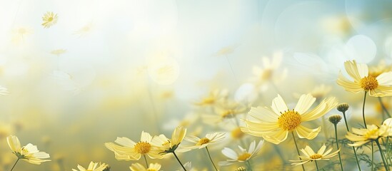 Abstract background with copy space image showcasing the texture of blooming flowers that release pollen causing allergies in spring and summer Ideal for promoting asthma medicine