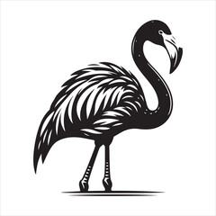 Female Chilean Flamingo