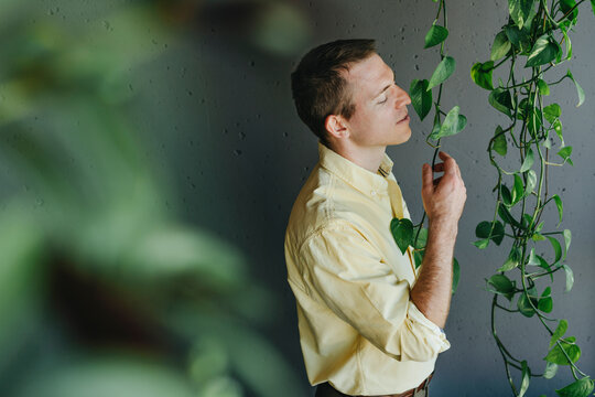 Businessman smelling leaves in front of gray wall