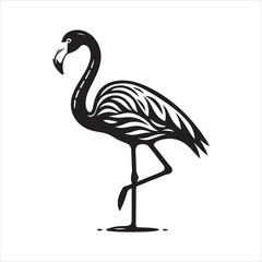 Female Chilean Flamingo