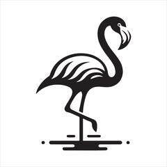 Female Chilean Flamingo