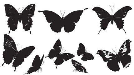 Fototapeta premium set of butterflies silhouettes