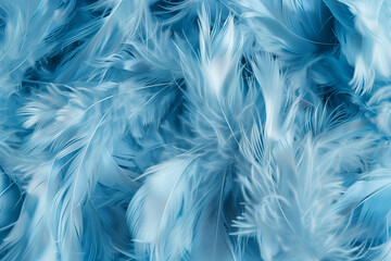 Obraz premium Colored gradient feather backgrounds close up