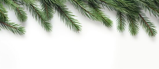 Obraz premium Christmas wallpaper with fir branches placed on a white wooden background captured in a flat lay perspective with enough copy space for additional elements