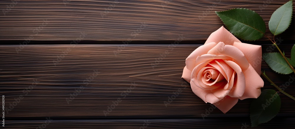 Aufkleber A rose flower is beautifully displayed on a wooden background with a frame surrounding it creating a serene and captivating copy space image