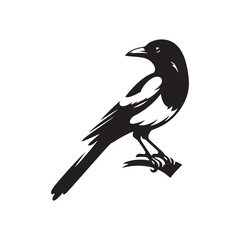 Magpie Bird Silhouette: Vector Illustrations Capturing the Tranquility of the Natural World - Magpie Bird Vector  - Magpie Bird Illustration.