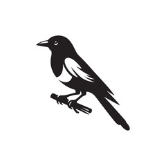 Magpie Bird Silhouette: Vector Illustrations Capturing the Tranquility of the Natural World - Magpie Bird Vector  - Magpie Bird Illustration.