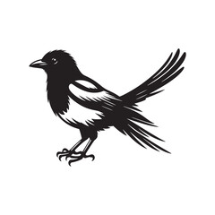 Magpie Bird Silhouette: Vector Illustrations Capturing the Tranquility of the Natural World - Magpie Bird Vector  - Magpie Bird Illustration.
