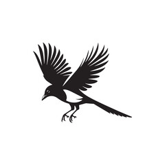 Magpie Bird Silhouette: Vector Illustrations Capturing the Tranquility of the Natural World - Magpie Bird Vector  - Magpie Bird Illustration.