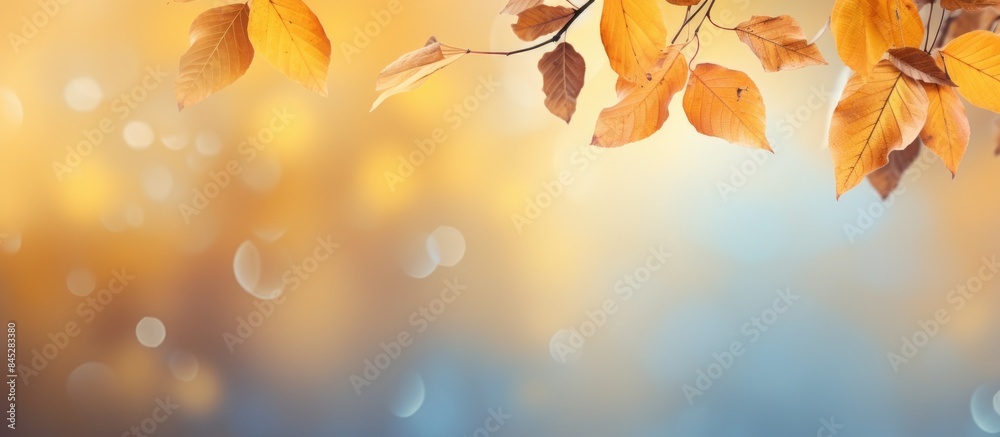 Poster a captivating autumn background with a blurred bokeh effect showcases a scenic landscape filled with