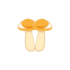 Fototapeta premium 黄色のキノコ2つ