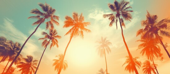 Vintage style photograph with palm trees depicted in an orange pop art effect accompanied by light leaks A perfect representation of a summery beach scene exemplifying the concepts of holidays and tr