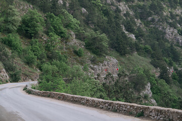 A road with a stone wall on the side and trees in the background. The road is narrow and winding, and the trees are lush and green.
