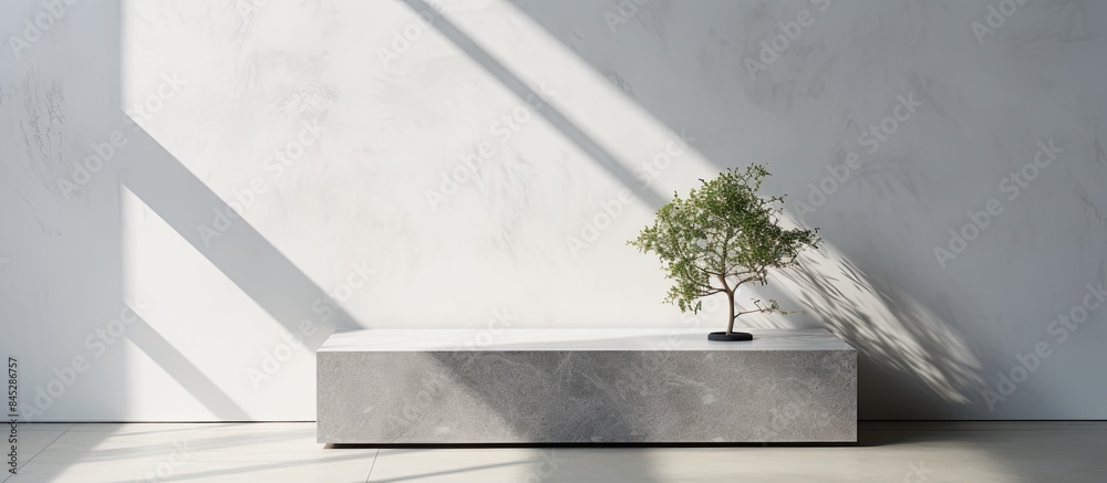 Poster the image showcases a gray stone pedestal placed on a marble desk against a wall with a window casti