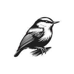 Nuthatch Bird Silhouette: Vector Illustrations Ideal for Wildlife Art and Decorative Projects- Nuthatch Bird Vector - Nuthatch Bird Illustration.
