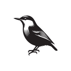 Obraz premium Nuthatch Bird Silhouette: Vector Illustrations Ideal for Wildlife Art and Decorative Projects- Nuthatch Bird Vector - Nuthatch Bird Illustration. 