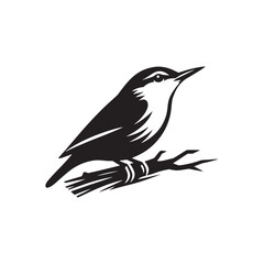 Nuthatch Bird Silhouette: Vector Illustrations Ideal for Wildlife Art and Decorative Projects- Nuthatch Bird Vector - Nuthatch Bird Illustration.
