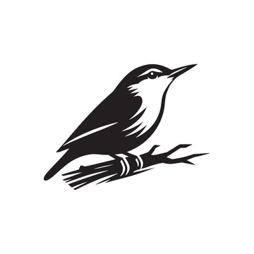 recommend clip art: Nuthatch Bird Silhouette: Vector Illustrations Ideal for Wildlife Art and Decorative Projects- Nuthatch Bird Vector - Nuthatch Bird Illustration.
                    