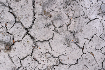 Dried cracked earth close up.