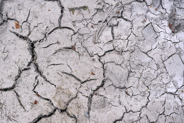 Dried cracked earth close up.