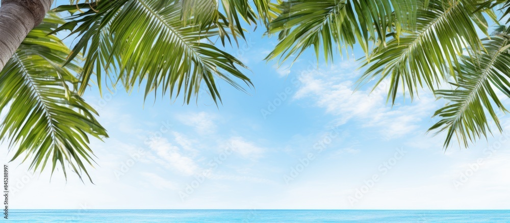 Leinwandbilder A summery scene with beaches palm trees and a sea concept Captured from a top down perspective on a white background creating a visually pleasing copy space image