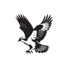 Osprey Bird Silhouette: Vector Graphics Depicting the Agile Flight and Hunting Skills- Osprey Bird Vector - Osprey Bird Illustration.