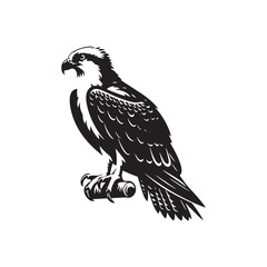Osprey Bird Silhouette: Vector Graphics Depicting the Agile Flight and Hunting Skills- Osprey Bird Vector - Osprey Bird Illustration.