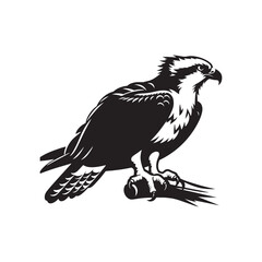 Osprey Bird Silhouette: Vector Graphics Depicting the Agile Flight and Hunting Skills- Osprey Bird Vector - Osprey Bird Illustration.