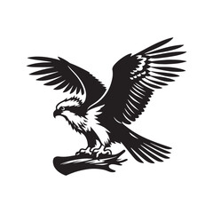 Osprey Bird Silhouette: Vector Graphics Depicting the Agile Flight and Hunting Skills- Osprey Bird Vector - Osprey Bird Illustration.