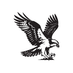 Obraz premium Osprey Bird Silhouette: Vector Graphics Depicting the Agile Flight and Hunting Skills- Osprey Bird Vector - Osprey Bird Illustration.