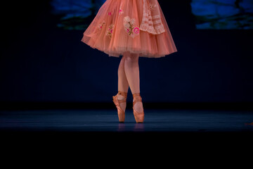 Closeup of ballerinas dancing on stage. © Ruslan